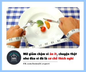 giảm cân tại nhà, giảm cân, giảm mỡ, giam can tai nha, giam can, giam mo tu nhien, giảm cân tự nhiên